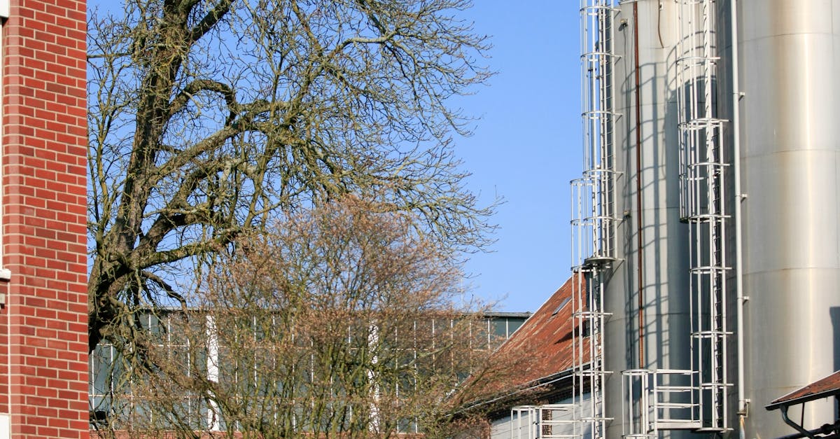 Enhancing Energy Management Through Automation Solutions